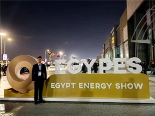 Longhua Group Participated in the Egypt Energy Show (EGYPES 2024)