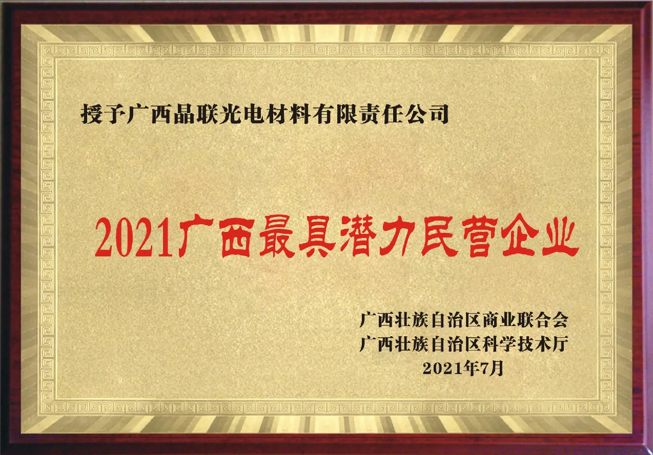 2021 guangxis most promising private enterprise