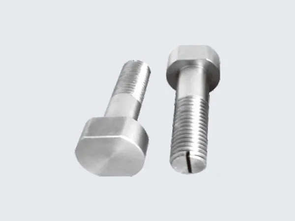 molybdenum screw