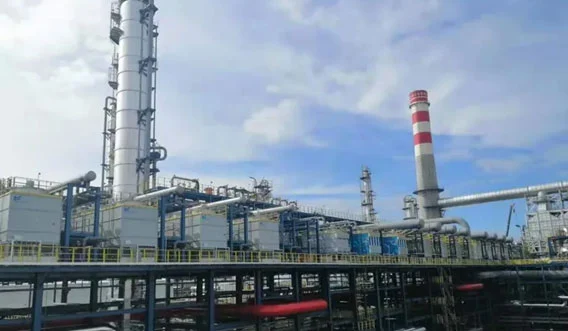petrochemical industry of company